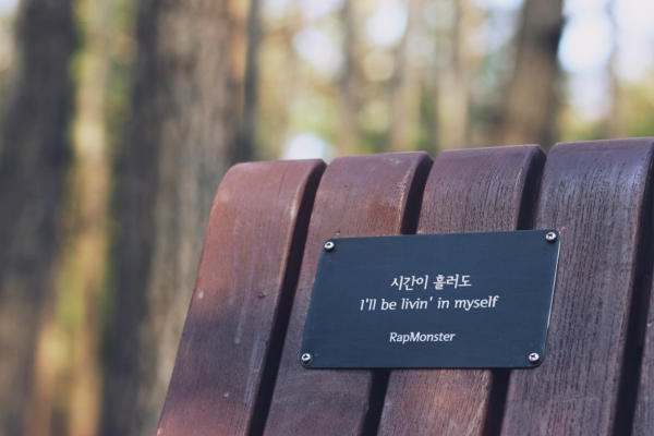 서울숲공원에 입양된 방탄소년단 RM벤치 (사진제공: 서울그린트러스트)